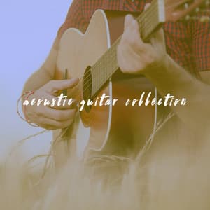 Acoustic Guitar Collection - Afternoon Acoustic
