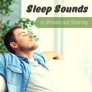 Sleep Sounds to Drown out Snoring - Chillin Area