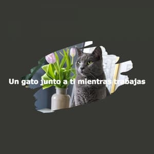 Un gato junto a ti mientras trabajas - Coffee Shop BGM