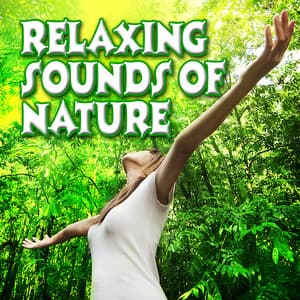 Relaxing Sounds of Nature - Sounds Of Life