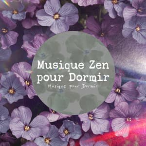 Musique Zen pour Dormir - Musique pour Dormir