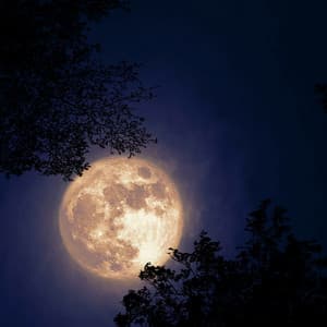 Soothing Slumber: Peaceful Night Melodies - Relaxing Music Therapy Bgm