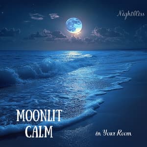Moonlit Calm in Your Room - Nightbliss