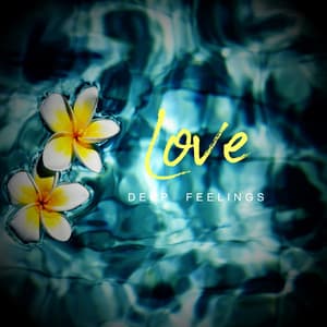 Love - Deep Feelings - Momentos De Meditación