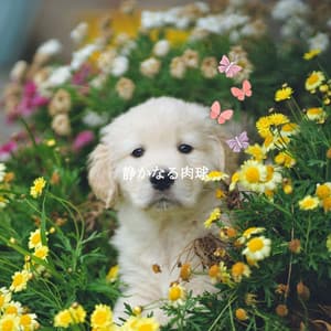 静かなる肉球 - Miami Hotel Jazz