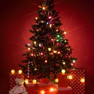 White Xmas: Special Time, Pure Magic Jazz for Christmas - Christmas Jazz Music Collection