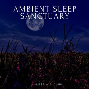Ambient Sleep Sanctuary: Soothing Chill Tunes - Sleep Aid Club