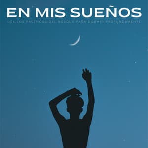 En Mis Sueños: Grillos Pacíficos Del Bosque Para Dormir Profundamente - Ramona Durmiente
