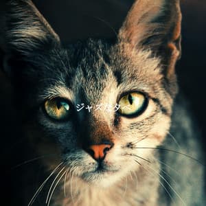 ジャズな夕べ - Calming Instrumental Jazz Ambiance