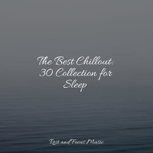 The Best Chillout: 30 Collection for Sleep - Deep Sleep Meditation