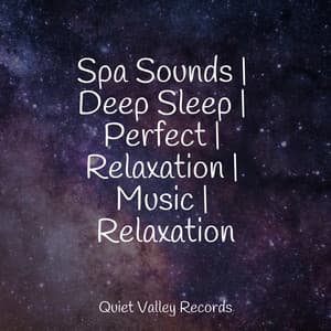 Spa Sounds | Deep Sleep | Perfect | Relaxation | Music | Relaxation - Sonidos de la Naturaleza