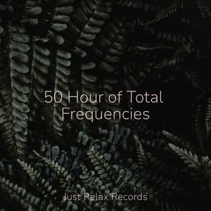 50 Hour of Total Frequencies - Best Relaxing SPA Music