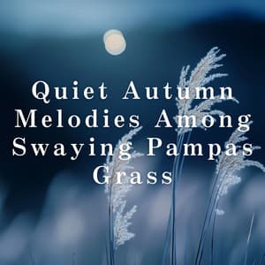 Quiet Autumn Melodies Among Swaying Pampas Grass - Relaxing BGM Project