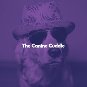 The Canine Cuddle - De Lujo Musica para Hoteles