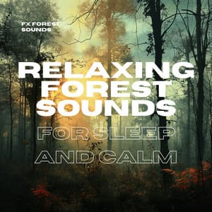 Relaxing Forest Sounds for Sleep and Calm - FX Forest Sounds