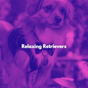 Relaxing Retrievers - Romantic Dinner Table Music