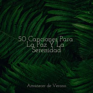 50 Canciones Para La Paz Y La Serenidad - Musica para Meditar