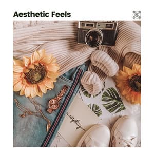 Aesthetic Feels - Lofi