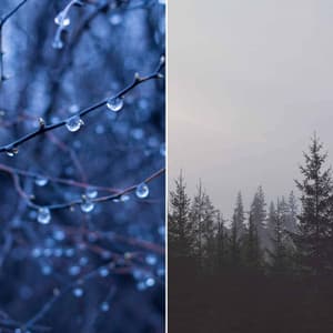 Understated Music for Calming Fridays - Big Band Ballad with Guitar - Easy Listening Afternoon Music