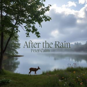 After the Rain: A Journey to Serenity - Calm Meditation - Calming Music Sanctuary
