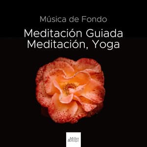 Música de Fondo para Meditación Guiada, Meditación, Yoga - Lucia Guiada