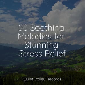 50 Soothing Melodies for Stunning Stress Relief - Tonal Meditation Collective