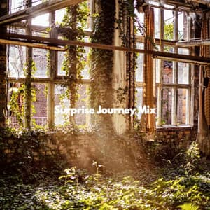 Surprise Journey Mix - Coffee House Days