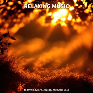 #01 Relaxing Music to Unwind, for Sleeping, Yoga, the Soul - Wellness