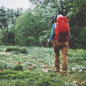 Untamed Melodies: Nature's Wild Harmonic Adventures - Liquid Planet Recordings