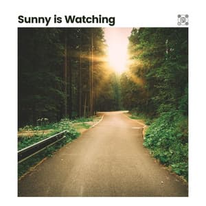 Sunny Is Watching - Soothing Nature Sounds
