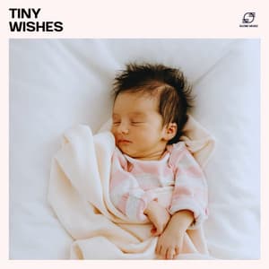 Tiny Wishes - Baby Sleep Zone