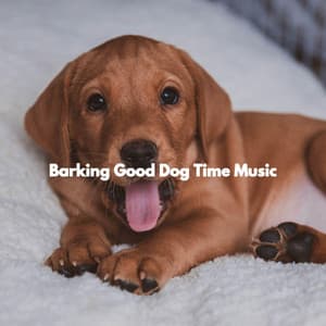 Barking Good Dog Time Music - Relaxing Dog Music Beats