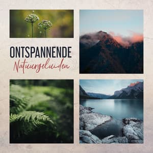 Ontspannende Natuurgeluiden - Ontspanning Muziek Club