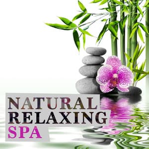 Natural Relaxing Spa - Nature Sounds Meditation