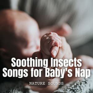 Nature Sounds: Soothing Insects Songs for Baby's Nap - The Nature Project