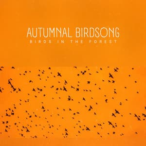 Autumnal Birdsong - Birds In The Forest