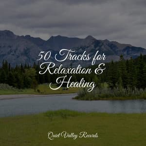 50 Tracks for Relaxation & Healing - Alpha Waves