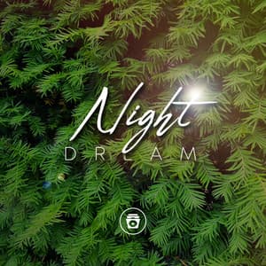 Night Dream - Nature Therapy