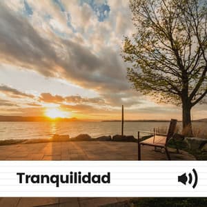 Tranquilidad - Sonidos de ruido blanco