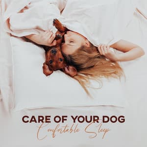 Care of Your Dog: Comfortable Sleep and Relief for Your Pet with Calm Sounds - Deep Sleep Hypnosis Masters