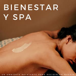 Bienestar Y Spa: Un Ambiente Relajante Para Recibir Un Masaje - Canal de spa
