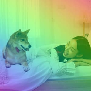 Extraordinary Background for Comforting Puppies - Calming for Dogs