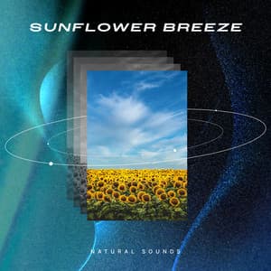 Sunflower Breeze - Natural Sounds