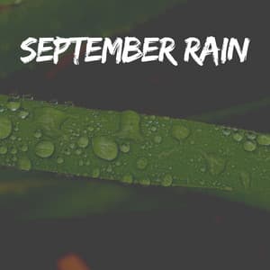 September Rain - Best Rain Sounds ASMR