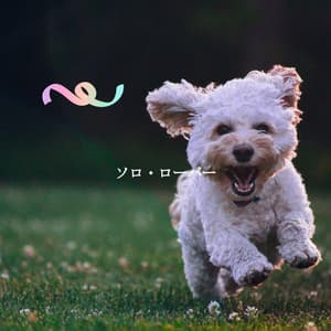 ソロ・ローバー - Restaurant Jazz Classics