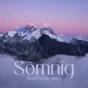 Sömnig tibetansk resa: Lugnande tibetanska skålar för djup sömn - Lugn Musik Atmosfär