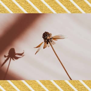 High Class Ambiance for Breathing Tales - Jazz Rilassante Playlist