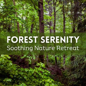Forest Serenity: Soothing Nature Retreat - Naturesque