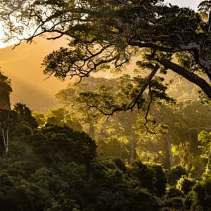 Meditation Melodies - Rain Drops for Sleep