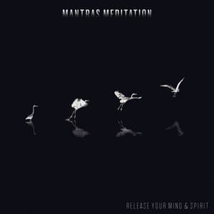 Mantras Meditation - Release Your Mind & Spirit: Healing Songs for Mindfulness Meditation, Relaxing Sounds from India - Chakra Balancing 101